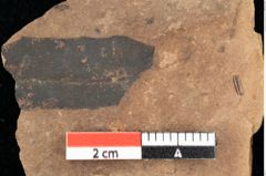 Foto (Detailsansicht) von Quercus palaeoilex Ettingshausen (NHMW-GEO-2024-0188-0811)